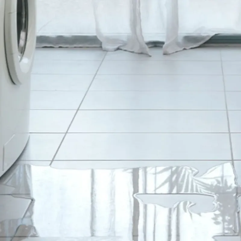 Appliance Leak Cleanup in Chicago Heights, IL