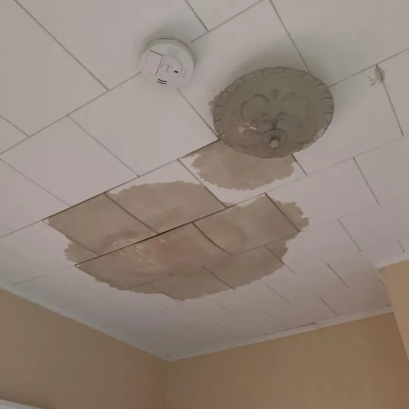 Ceiling Water Damage Repair in Chicago Heights, IL