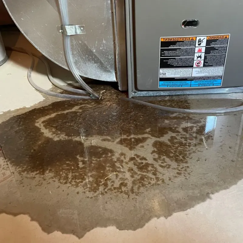Pipe Burst and Leak Restoration in Chicago Heights, IL
