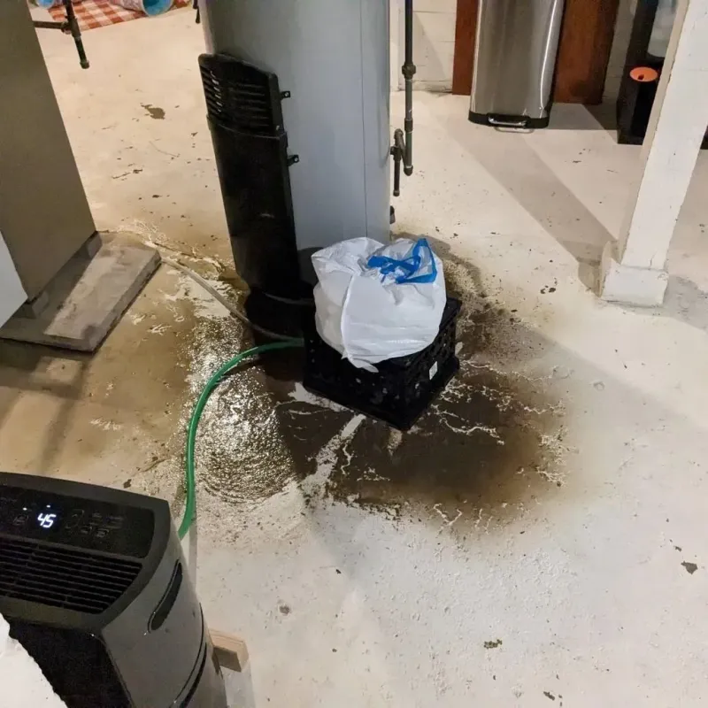 Sewage Backup Cleanup Service in Chicago Heights, IL